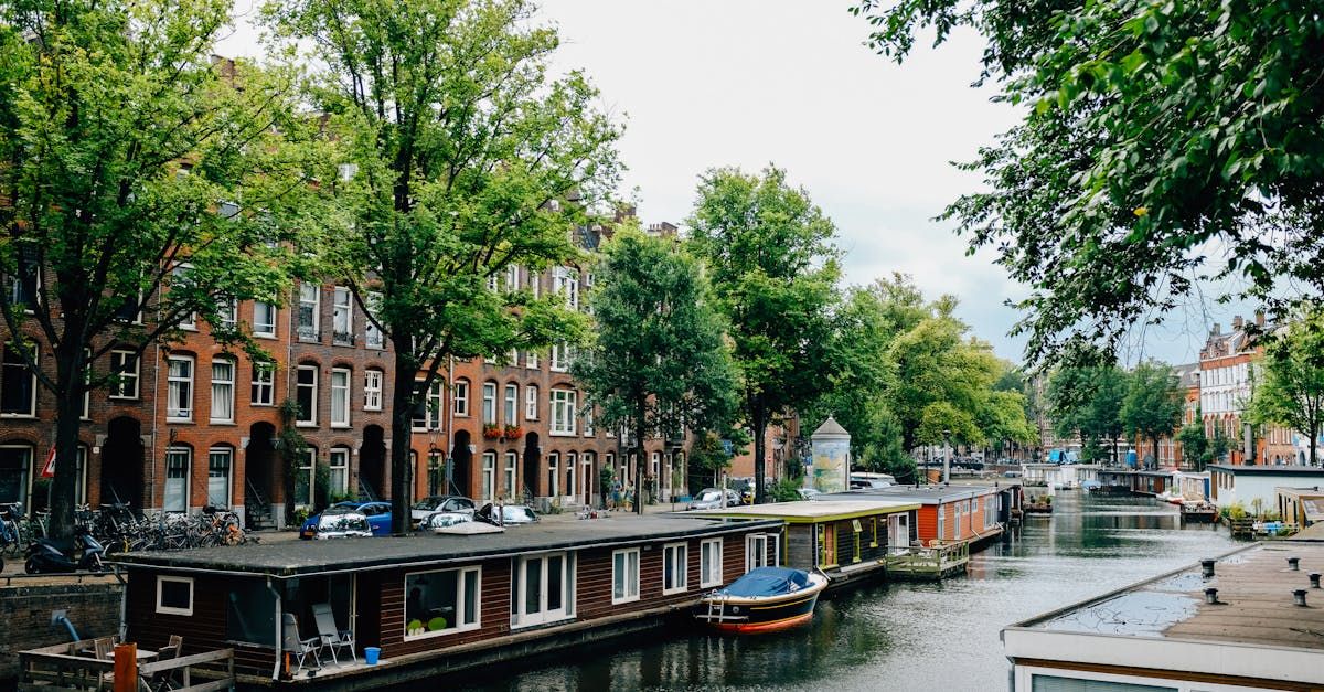 How to Create Custom Property Collections on Your Vacation Rental Website (and Why It Drives More Bookings) Featured Image