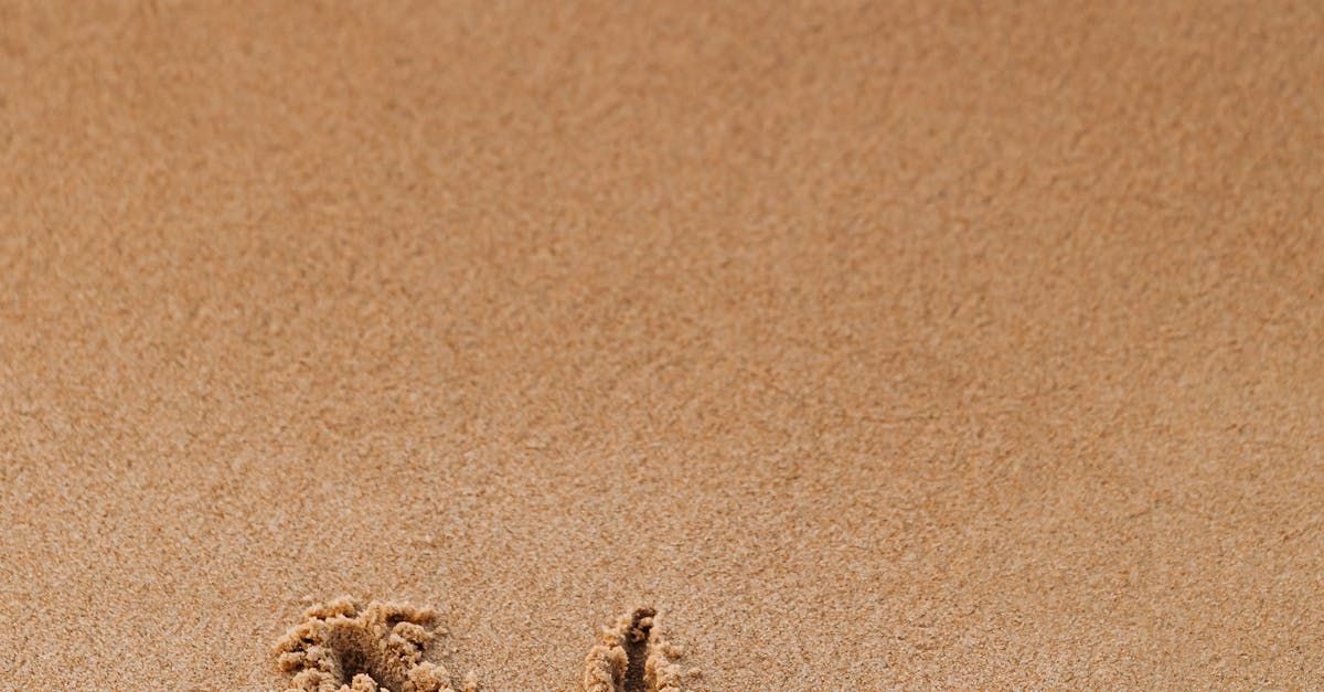 How to Automate Guest Communication in Vacation Rentals: Tools, Benefits, and Best Practices Featured Image